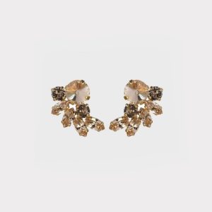 Earrings new