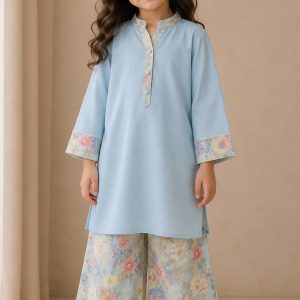 Mini Casual Denim Shirt